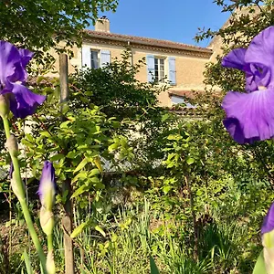 Bed & Breakfast Le Petit Cochon Valence-sur-Baïse